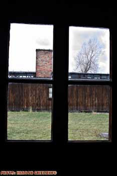 IMG_ (10830)
